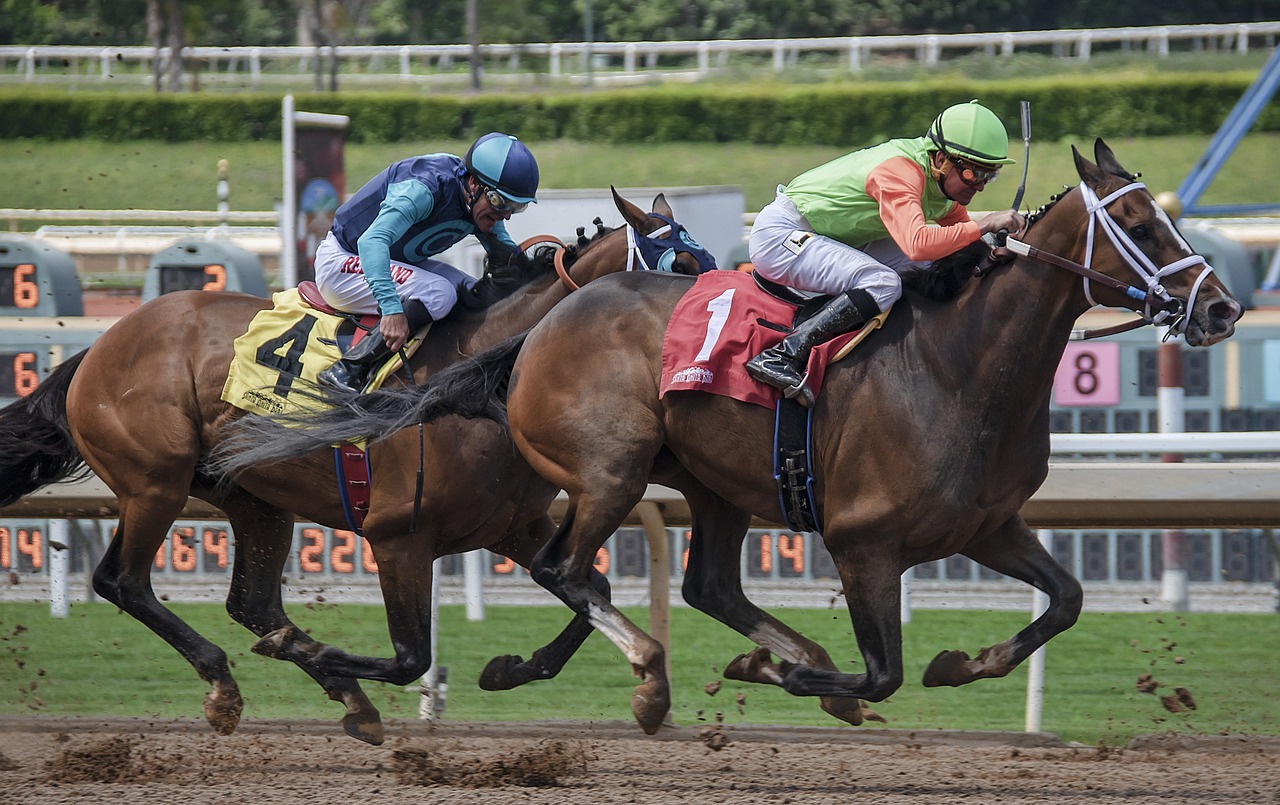 Why Horse Racing Is Popular for Betting